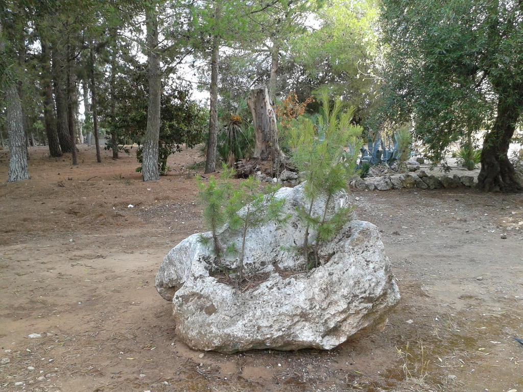 Tenuta La Spezia Карпиняно Салентино Екстериор снимка